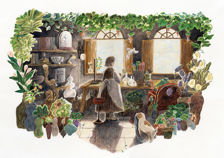 �������� ���